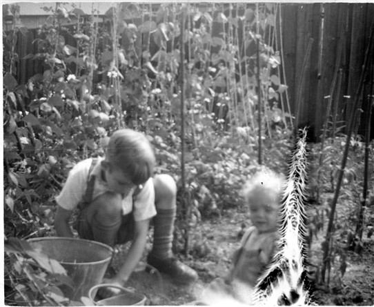 Photo:3.	Peter and Colin Prior  siblings gardening at Torre Walk c. 1947