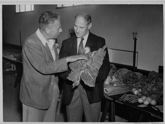 Photo:Judging the Vegetables from the 1948 show.